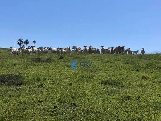 IMÓVEIS