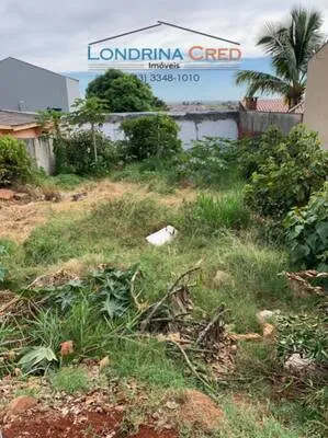 IMÓVEIS
