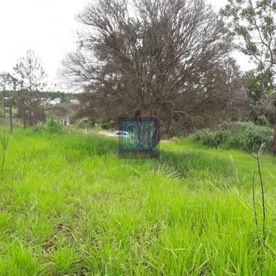 IMÓVEIS