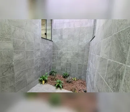 IMÓVEIS